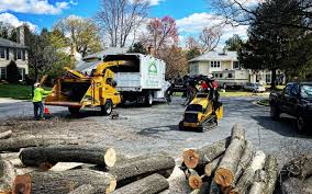 How Our Tree Care Process Works  in  Stromsburg, NE